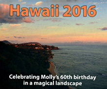 Hawaii 2016 by Alan Copps