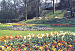 Les Catt Alexandra Park